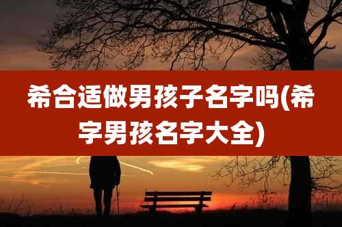 希合适做男孩子名字吗(希字男孩名字大全)