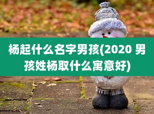 杨起什么名字男孩(2020 男孩姓杨取什么寓意好)