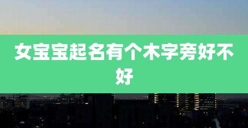 女宝宝起名有个木字旁好不好