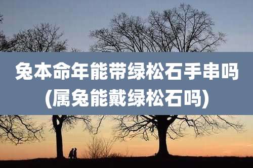 兔本命年能带绿松石手串吗(属兔能戴绿松石吗)