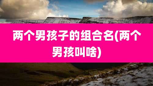 两个男孩子的组合名(两个男孩叫啥)