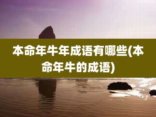 本命年牛年成语有哪些(本命年牛的成语)