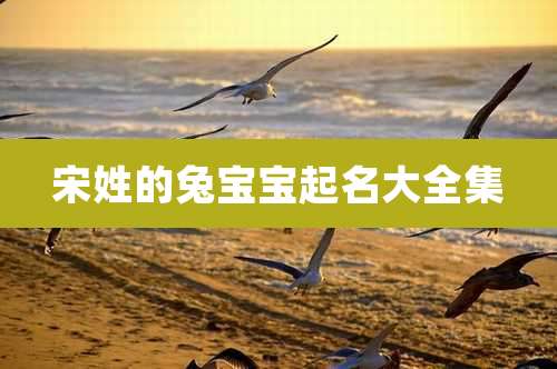 宋姓的兔宝宝起名大全集