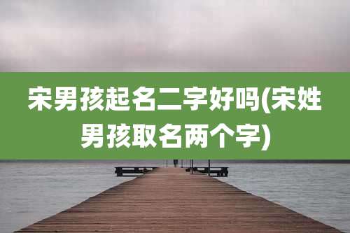 宋男孩起名二字好吗(宋姓男孩取名两个字)