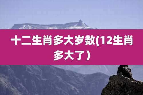 十二生肖多大岁数(12生肖多大了)