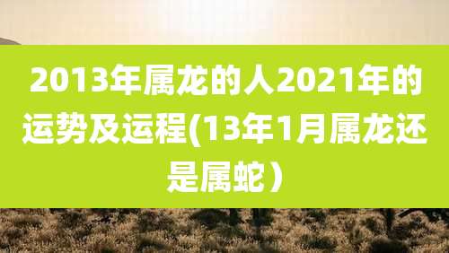 2013年属龙的人2021年的运势及运程(13年1月属龙还是属蛇）