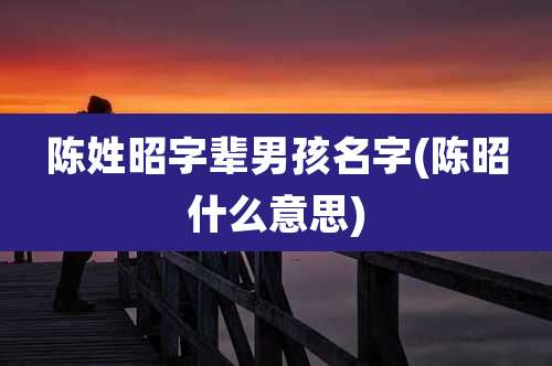 陈姓昭字辈男孩名字(陈昭什么意思)