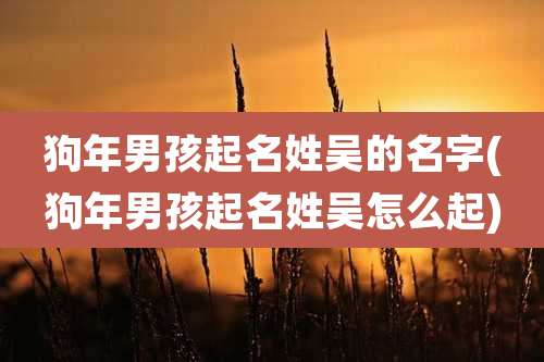 狗年男孩起名姓吴的名字(狗年男孩起名姓吴怎么起)