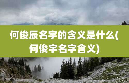 何俊辰名字的含义是什么(何俊宇名字含义)