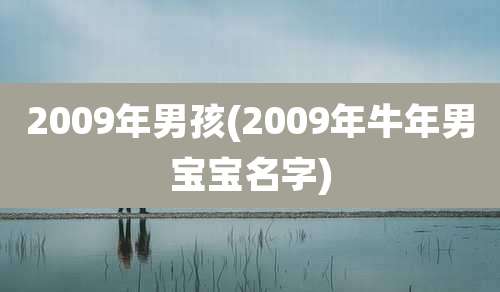 2009年男孩(2009年牛年男宝宝名字)