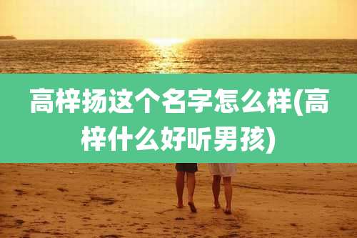 高梓扬这个名字怎么样(高梓什么好听男孩)