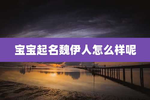 宝宝起名魏伊人怎么样呢