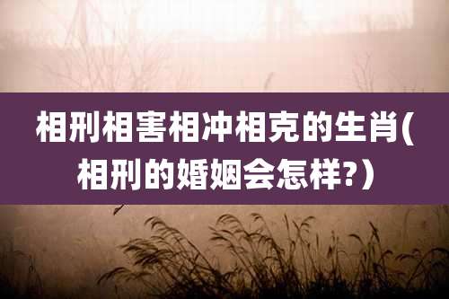 相刑相害相冲相克的生肖(相刑的婚姻会怎样?)