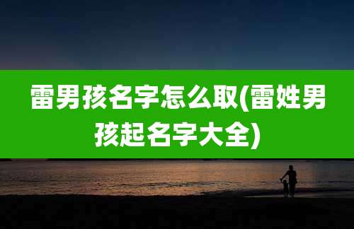 雷男孩名字怎么取(雷姓男孩起名字大全)