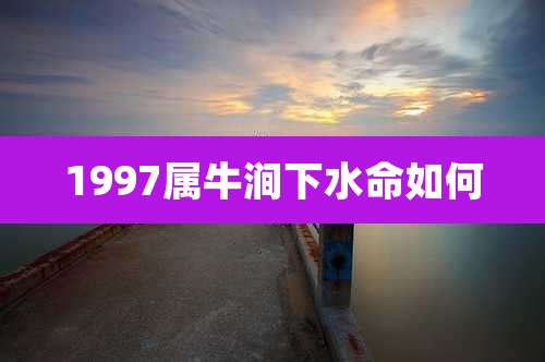 1997属牛涧下水命如何