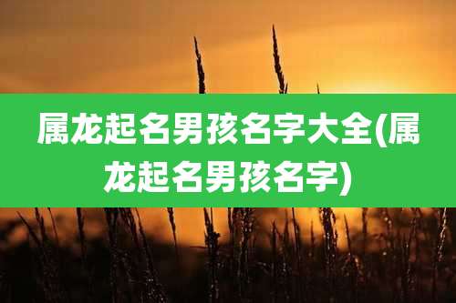 属龙起名男孩名字大全(属龙起名男孩名字)