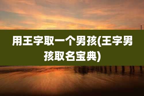 用王字取一个男孩(王字男孩取名宝典)