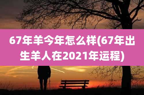 67年羊今年怎么样(67年出生羊人在2021年运程)