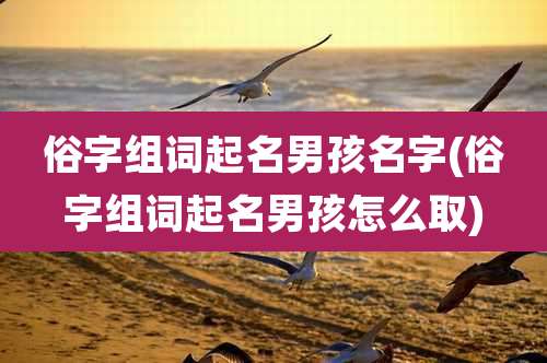 俗字组词起名男孩名字(俗字组词起名男孩怎么取)