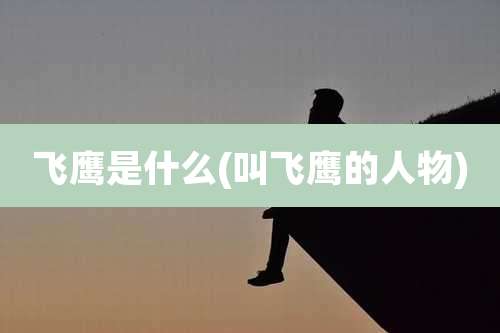 飞鹰是什么(叫飞鹰的人物)