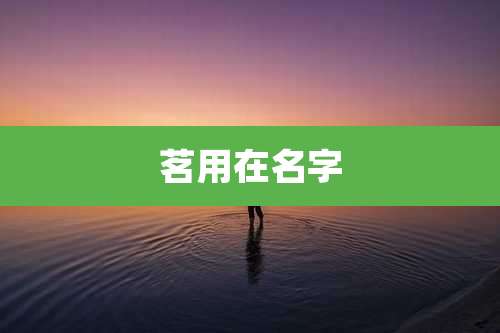 茗用在名字