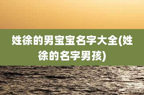 姓徐的男宝宝名字大全(姓徐的名字男孩)