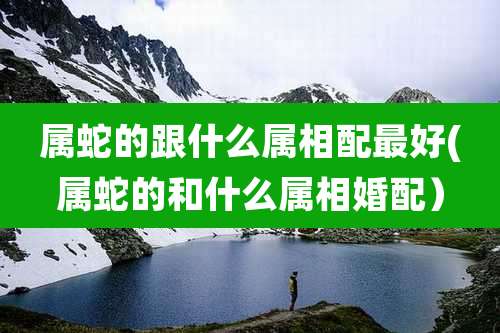 属蛇的跟什么属相配最好(属蛇的和什么属相婚配）