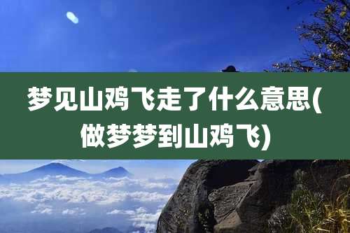 梦见山鸡飞走了什么意思(做梦梦到山鸡飞)