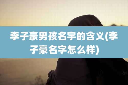 李子豪男孩名字的含义(李子豪名字怎么样)