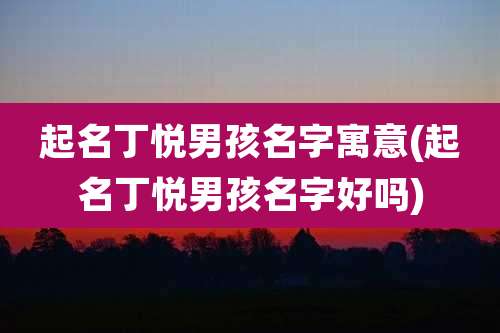起名丁悦男孩名字寓意(起名丁悦男孩名字好吗)