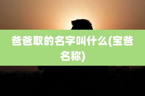 爸爸取的名字叫什么(宝爸名称)
