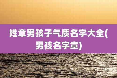姓章男孩子气质名字大全(男孩名字章)
