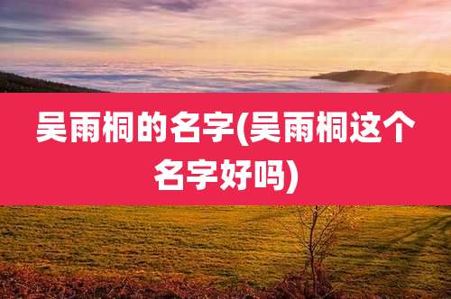 吴雨桐的名字(吴雨桐这个名字好吗)