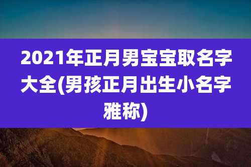 2021年正月男宝宝取名字大全(男孩正月出生小名字雅称)