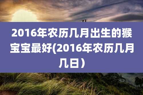 2016年农历几月出生的猴宝宝最好(2016年农历几月几日)