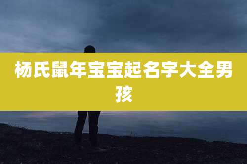 杨氏鼠年宝宝起名字大全男孩