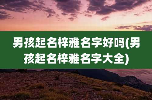 男孩起名梓雅名字好吗(男孩起名梓雅名字大全)