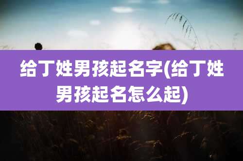 给丁姓男孩起名字(给丁姓男孩起名怎么起)