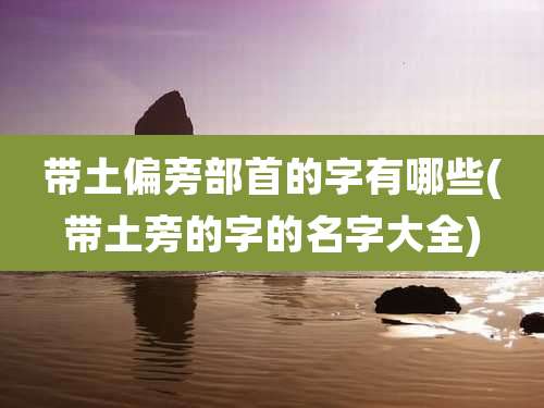 带土偏旁部首的字有哪些(带土旁的字的名字大全)