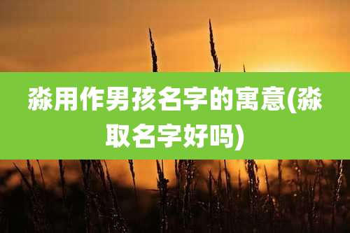 淼用作男孩名字的寓意(淼取名字好吗)