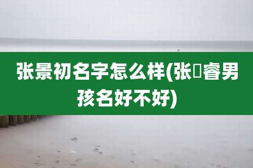 张景初名字怎么样(张璟睿男孩名好不好)