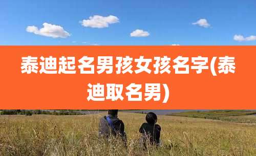 泰迪起名男孩女孩名字(泰迪取名男)