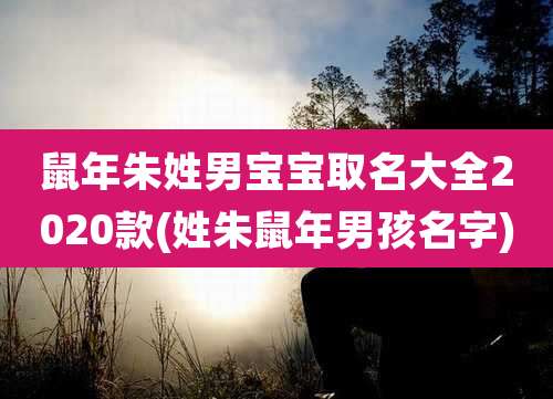 鼠年朱姓男宝宝取名大全2020款(姓朱鼠年男孩名字)