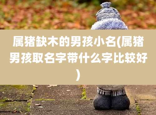 属猪缺木的男孩小名(属猪男孩取名字带什么字比较好)