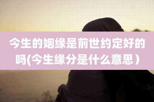 今生的姻缘是前世约定好的吗(今生缘分是什么意思）