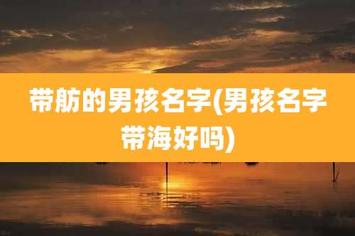 带舫的男孩名字(男孩名字带海好吗)