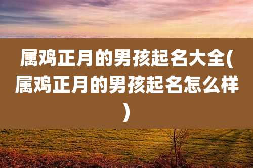 属鸡正月的男孩起名大全(属鸡正月的男孩起名怎么样)