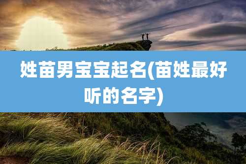 姓苗男宝宝起名(苗姓最好听的名字)