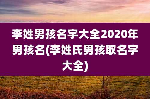 李姓男孩名字大全2020年男孩名(李姓氏男孩取名字大全)