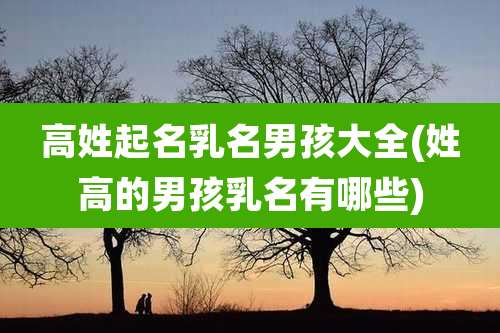 高姓起名乳名男孩大全(姓高的男孩乳名有哪些)